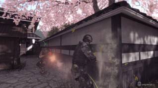 Soldier Front 2_Cherry Blossom Combat