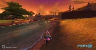 WS_2013-07_Chua_and_Mordesh_17