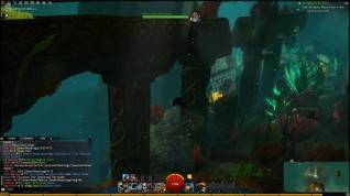 Guild Wars 2 screenshot (18)